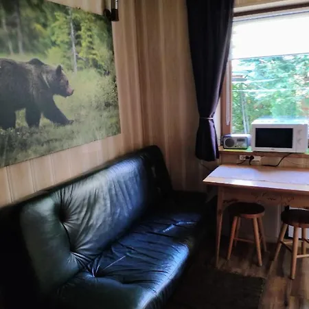 Marynka Apartment Zakopane Exterior photo